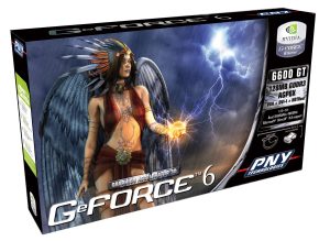 PNY Verto 6600GT PCI-E